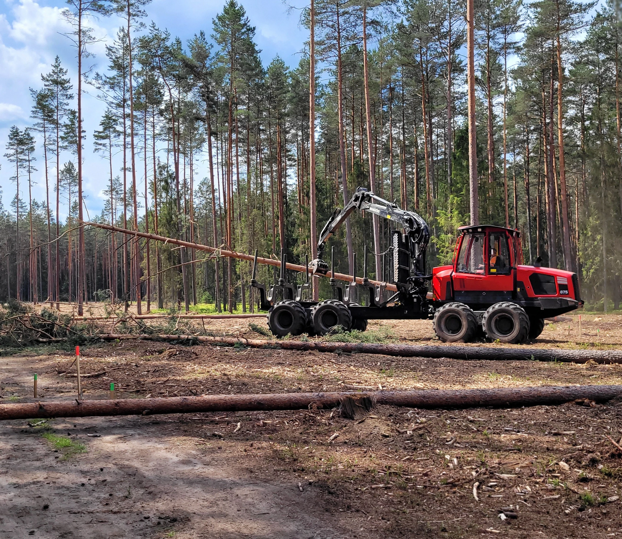 Forwarder Komatsu 875 podczas ścinki na powierzchni