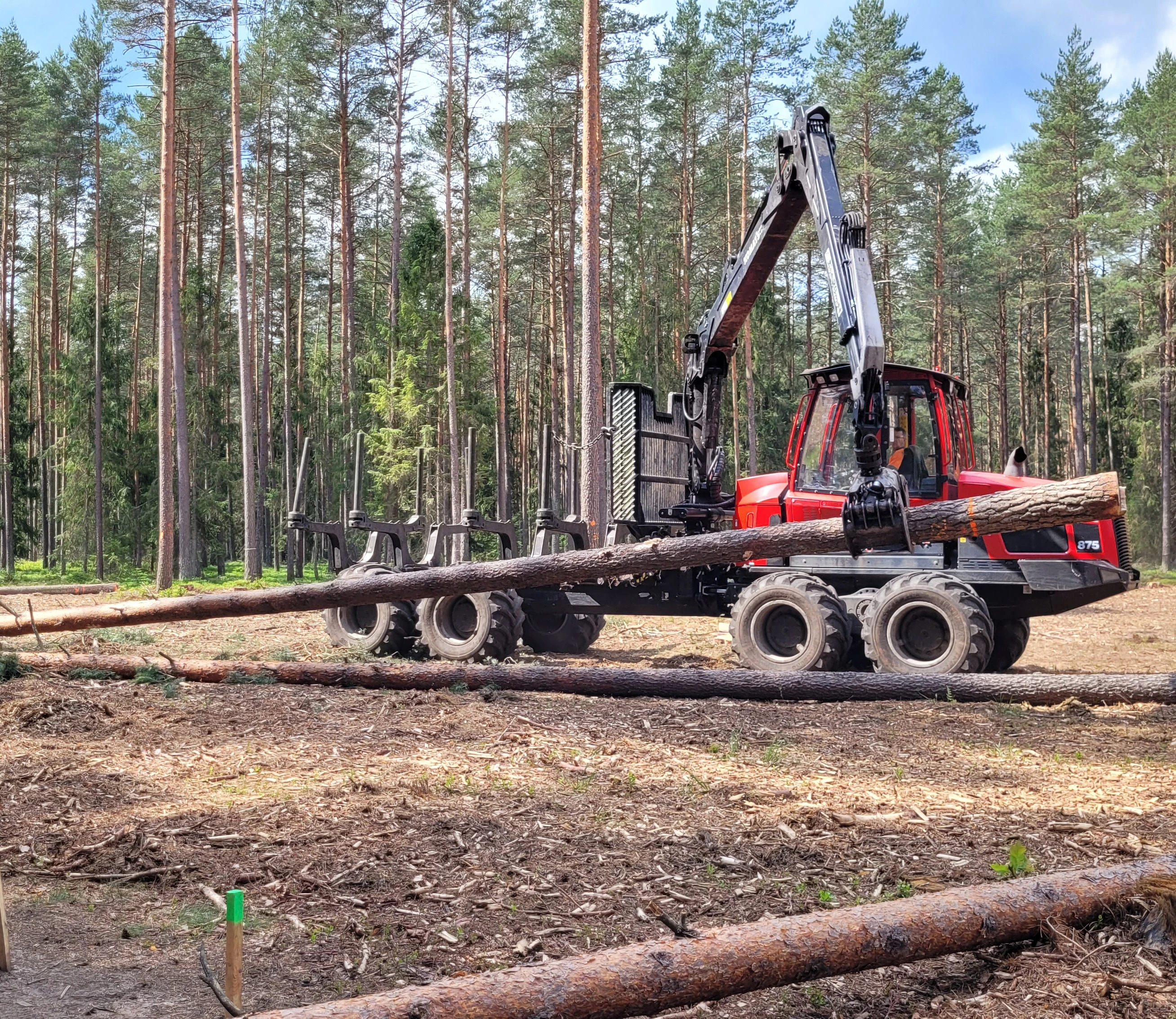 Forwarder Komatsu 875 podczas ścinki na powierzchni