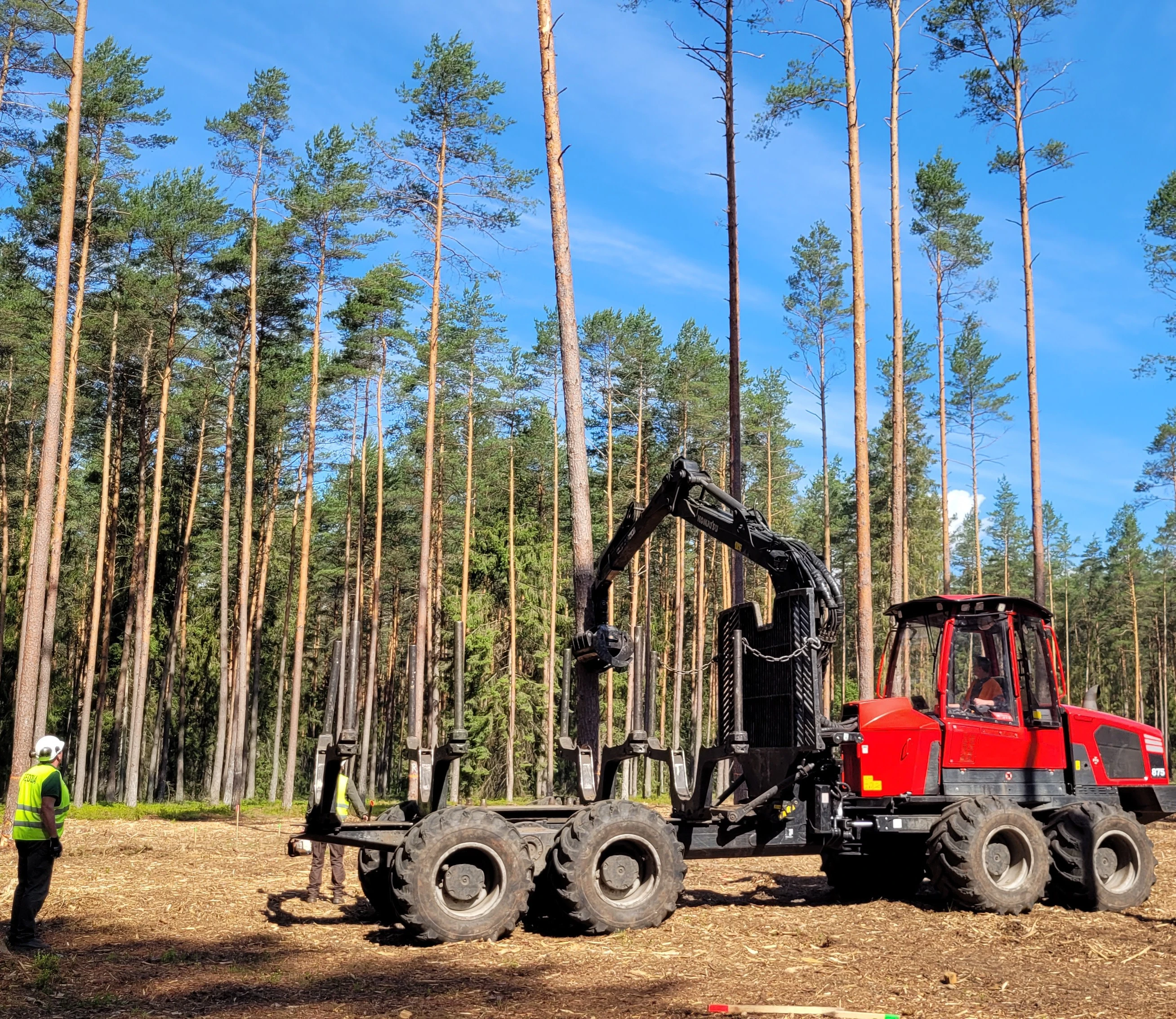 Forwarder Komatsu 875 podczas ścinki na powierzchni